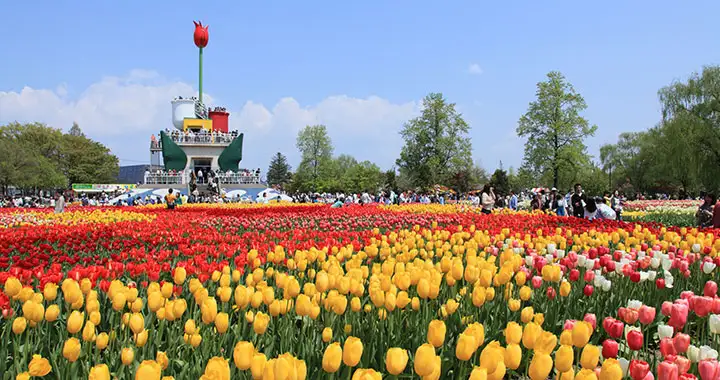 砺波チューリップ公園