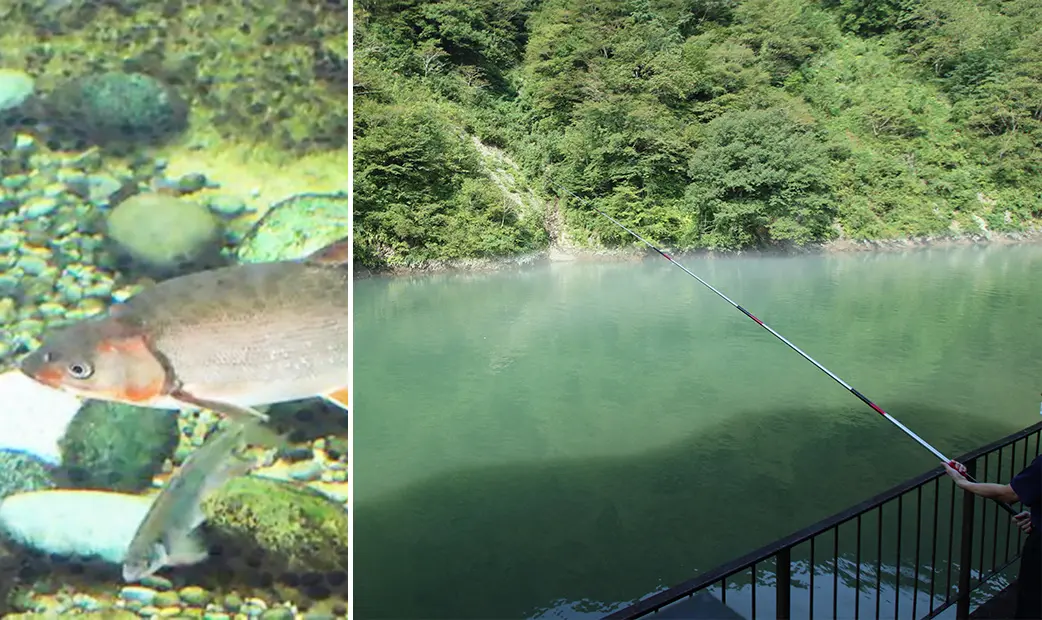 敷地内で釣りをお愉しみいただけます